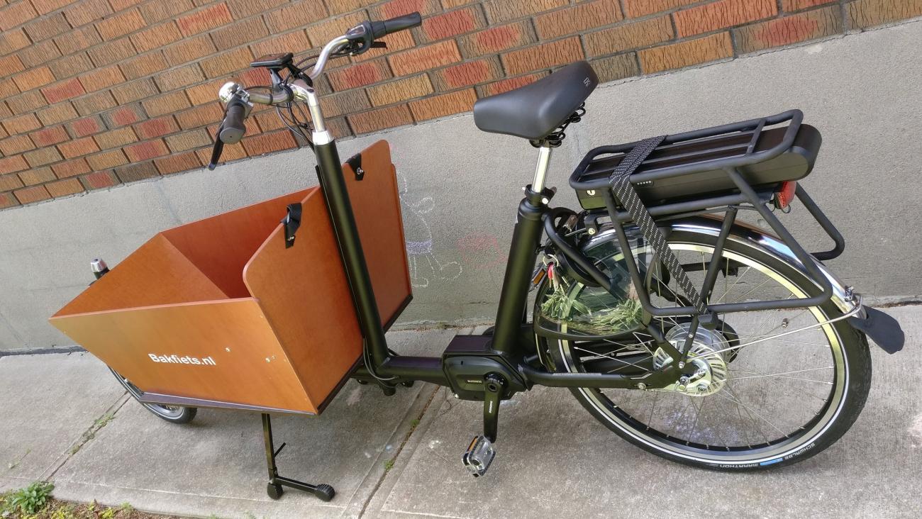 cargo bike in all its glory